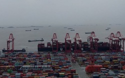 2 cảng biển tấp nập nhất Trung Quốc tạm ngừng hoạt động do bão, chuỗi cung ứng toàn cầu thêm lao đao
