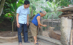 Thái Nguyên: Chế ra toàn món độc lạ từ thịt hươu, nhung hươu, anh nông dân làm ra đến đâu bán hết đến đó