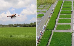 Hệ sinh thái cho chuyển đổi số nông nghiệp Việt Nam: Đặt lợi ích của nông dân làm trọng tâm
