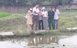 Thái Nguyên: Nông dân tham quan mô hình nuôi ếch, cùng giúp nhau làm giàu