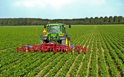 Các nhà nghiên cứu đưa ra đánh giá về nông nghiệp bền vững
