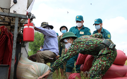 TP.HCM: Không chỉ đi chợ hộ, bộ đội còn thu hoạch lúa giúp dân trong mùa dịch Covid-19