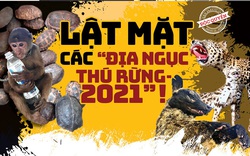 Lật mặt các “địa ngục thú rừng” 2021: Lập "trại tù binh" thú rừng trong toa lét! (Bài 4)