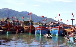 Quảng Bình: Vì sao không ai cấm ra khơi mà nhiều tàu cá vẫn ủ ê nằm bờ?