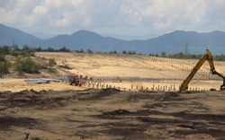 Tổng cục Lâm nghiệp lên tiếng sau 2 vụ phá rừng được phát hiện ở Bình Định