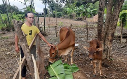 Kon Tum: Xôn xao việc hàng chục nông dân xã nghèo viết đơn xin ra khỏi danh sách hộ nghèo