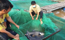 Cần Thơ: "Robinson" Cồn Sơn nuôi cá quý hiếm trên sông Hậu đã được bình chọn "Nông dân Việt Nam xuất sắc 2021"