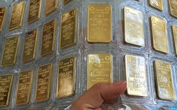 Giá vàng hôm nay 22/9: Vàng SJC tăng 300.000 đồng/lượng