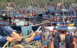 Quảng Ngãi: Sợ tàu chìm tại nơi neo đậu vì bão, ngư dân hối hả neo giằng chặt
