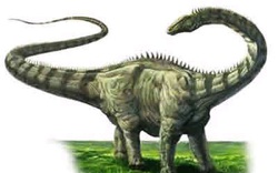 Làm thế nào mà khủng long lại to lớn như vậy?