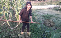 Thái Nguyên: Cô giáo mầm non nuôi 70.000 con ốc nhồi-một nghề thì sống, đống nghề lại càng sống khỏe hơn