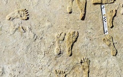 Phát hiện dấu chân kỳ lạ có liên kết với loài người thời cổ đại