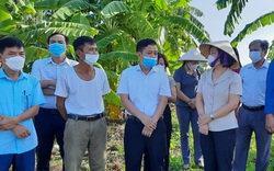 Hội Nông dân Hải Phòng: Giám sát quản lý, sử dụng đất trồng lúa tại huyện Thủy Nguyên