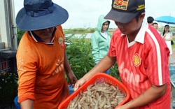 Mỹ, Nhật Bản tăng mua, tại sao xuất khẩu một sản phẩm chủ lực của Việt Nam vẫn đột ngột giảm 36%?