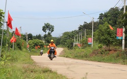 Đắk Nông: "Mặc áo hoa" cho những con đường biên giới