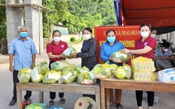 Quảng Bình: Nấu hàng nghìn suất cơm, ra đồng gặt lúa đưa về tận nhà giúp nông dân vùng phong toả