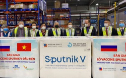 Việt Nam tiếp nhận lô vắcxin Sputnik V đầu tiên sau chuyến thăm Liên Bang Nga của Bộ trưởng Ngoại giao Bùi Thanh Sơn