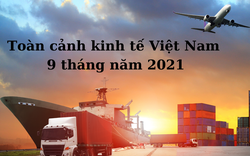 [Infographics] Toàn cảnh kinh tế Việt Nam 9 tháng năm 2021