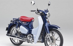 Honda Super Cub C125 2022 có gì đặc biệt mà giá tới 91 triệu đồng?