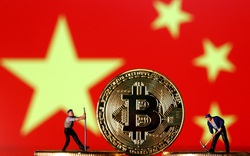 Thợ đào bitcoin của Trung Quốc: 40 triệu đô ôm mộng ở Mỹ 