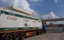 CNG Việt Nam chốt trả cổ tức 20% bằng tiền mặt