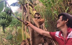 Tin tức 24h qua: “Người rừng” ở Quảng Ngãi qua đời 