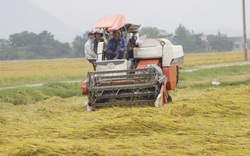 Quảng Bình: Số điện thoại đường dây nóng đề nghị hỗ trợ tiêu thụ nông sản trong mùa dịch Covid-19 là những số nào?