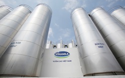 Vinamilk ghi tên “Sữa Việt” trên các bảng xếp hạng toàn cầu về giá trị và sức mạnh thương hiệu