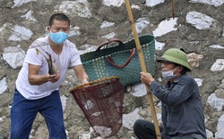 Bất chấp lệnh cấm, người dân tụ tập đánh cá trên sông Kim Ngưu