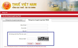 Hướng dẫn chi tiết 4 cách tra cứu mã số thuế online nhanh, chính xác nhất