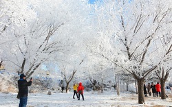 Trung Quốc: Du lịch băng tuyết “bùng nổ” trước thềm Olympic Bắc Kinh