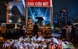 Khôi phục xuất khẩu trái cây tươi, hàng đông lạnh qua cửa khẩu Lào Cai