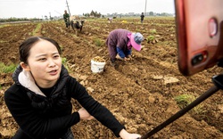 Thương mại điện tử giúp thoát nghèo ở nông thôn Trung Quốc ra sao?