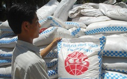 Doanh nghiệp có đang chi gần 1 tỷ USD nhập khẩu đường Thái Lan “né” thuế?