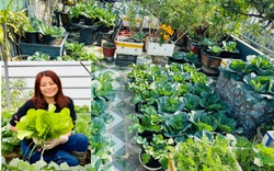 Thán phục bà mẹ tự vác 100 bao phân lên sân thượng, tạo vườn rau xanh ngút mắt
