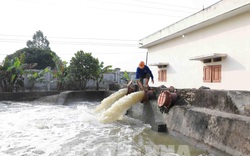 Ngành nông nghiệp đảm bảo hoàn thành nhiệm vụ "kép" trong dịp Tết Nhâm Dần 2022