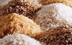 Thiếu tàu chở hàng, 1/3 lượng gạo xuất khẩu của Ấn Độ “mắc kẹt”
