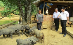 "Phất" lên ầm ầm, doanh thu gần 10 tỷ đồng mỗi năm nhờ mạnh dạn vay tiền làm trang trại