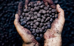 Cho phép Công ty khoáng sản Việt Trung khai thác 1 triệu tấn quặng sắt mỏ Quý Xa