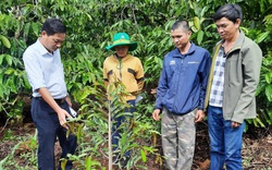 Phụ cấp cho cán bộ khuyến nông mỗi nơi một kiểu, tên gọi cũng... "chẳng giống ai"