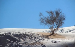 Cảnh bất thường cực hiếm: Băng tuyết phủ trắng sa mạc Sahara
