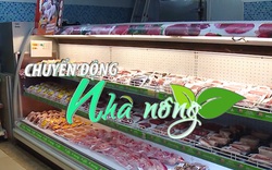 Chuyển động Nhà nông 22/01: Giá heo hơi, giá thịt tăng mạnh những ngày giáp Tết