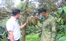 Điểm tựa hữu ích của nông dân trồng cà phê, nuôi dê...