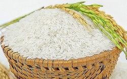 Tăng cường kiểm soát mặt hàng gạo, ngăn nguy cơ gian lận xuất xứ
