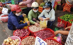 Chợ Tết nhộn nhịp, không lo thiếu hàng