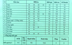 Nữ sinh có bảng điểm tổng kết học kỳ đạt 9.9 gây choáng, nhưng vẫn không đứng đầu lớp