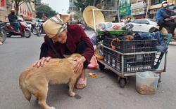 Chuyện về cụ bà 102 tuổi sống ở chân cầu Long Biên bán đàn chó trả tiền trọ ngày cuối năm