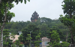 Phú Yên: Núi Nhạn-hòn non bộ giữa lòng thành phố Tuy Hòa có bao nhiêu loài cây quý mà hơn cả vườn bách thảo?