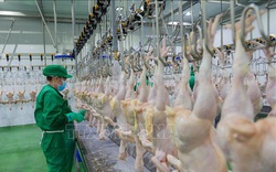 Hồng Kông mạnh tay chi hơn 50 triệu USD để ăn sản phẩm thịt này của Việt Nam