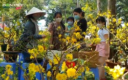 Người dân TP.HCM tranh thủ mua hoa giảm giá trưa 29 Tết